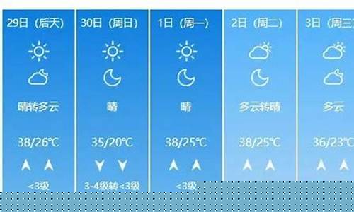 聊城一周天气预报15天查询结果最新消息表图片_聊城一周天气预报15天查询结果最新消息表