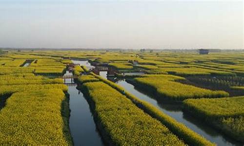 兴化15天天气预报30天_兴化15天天气预报