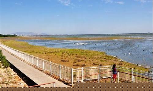 秦皇岛北戴河未来一周天气_秦皇岛北戴河今天天气