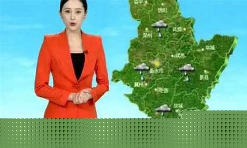 天气衡水天气预报15天预报!!_河北衡水天气预报15天查询结果