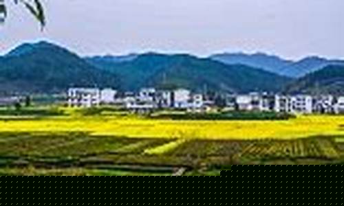 高安一周天气预报一周气温表图片_高安一周天气预报一周气温表