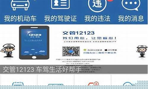交管机动车违章查询_交管查违章车辆查询