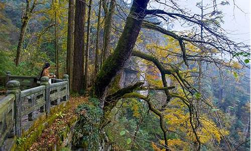 临安西天目山风景区介绍_浙江临安西天目山天气预报