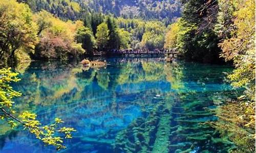 成都九寨沟海拔最高多少米_九寨沟海拔最高多少米
