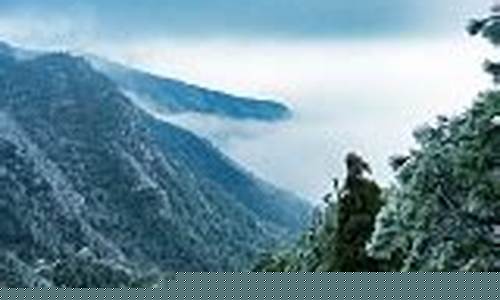 万安天气预报_万安天气预报40天