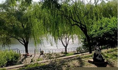 石家庄一周前天气_石家庄一周天气变化情况表