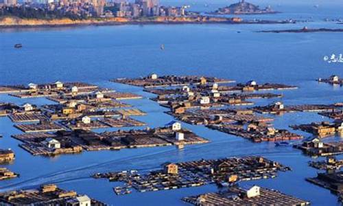 泉港天气预报15天_泉港天气预报15天查询结果