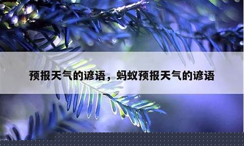 预报天气的生活谚语大全_预报天气的生活谚语