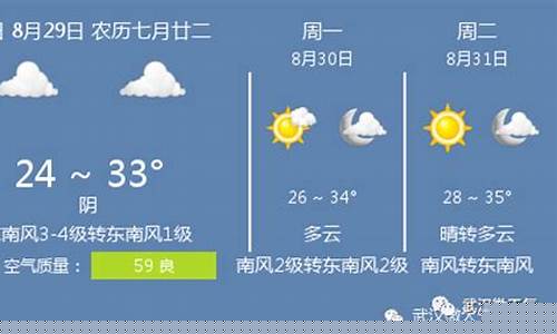 武汉今天天气预报_武汉今天天气预报24小时预警