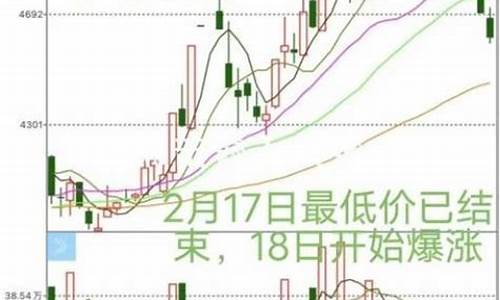 山东金乡大蒜最新价格每斤多少钱_山东金乡大蒜最新价格