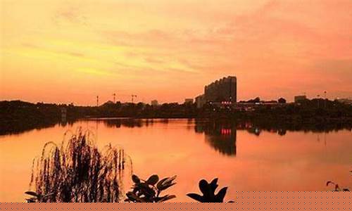 西乡塘天气预报_西乡塘天气预报一周