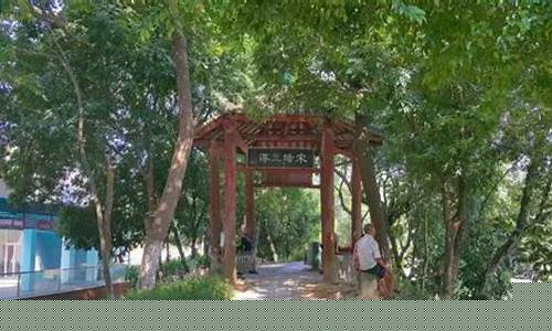 钦州天气预报一周15天_钦州天气预报一周