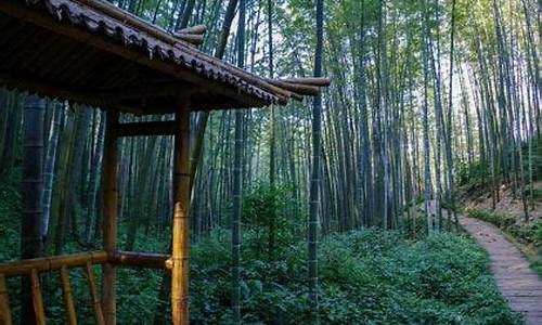 蜀南竹海天气预报15天精准_蜀南竹海天气预报15天