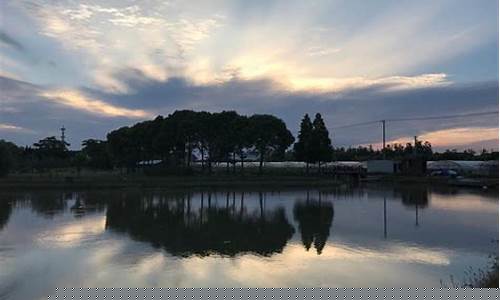 奉贤一周天气预报10天详情最新_奉贤天气预报24小时详情