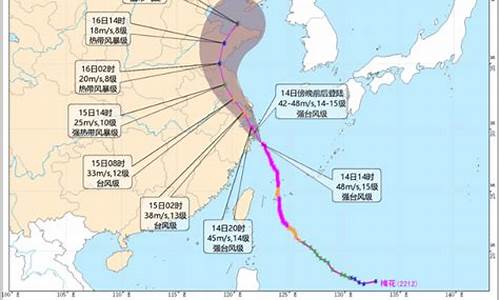 浙江台风路径实时发布信息_浙江台风路径实时发布