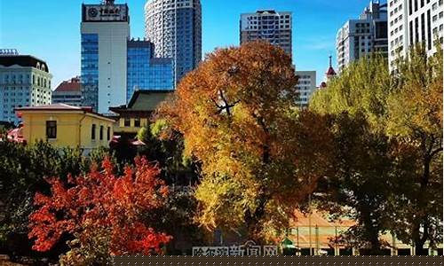 哈市一周天气预报30天气预报_哈市一周天气预报