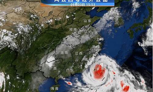 上海未来一周天气总结最新消息今天_上海未来一周气温天气