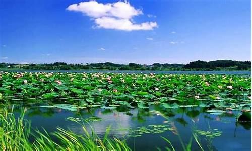 白洋淀天气预报查询15天_白洋淀天气情况